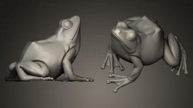 3D model frog (STL)